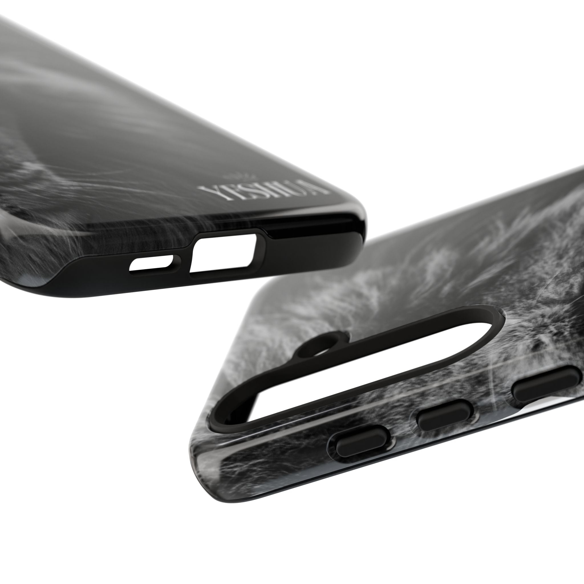 King Yeshua Phone Case