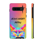 Jesus Right Meow